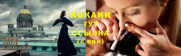 ПСИЛОЦИБИНОВЫЕ ГРИБЫ Строитель