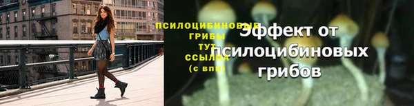 прущие крисы Беломорск