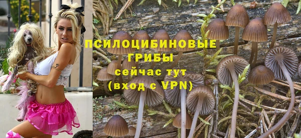 прущие крисы Беломорск